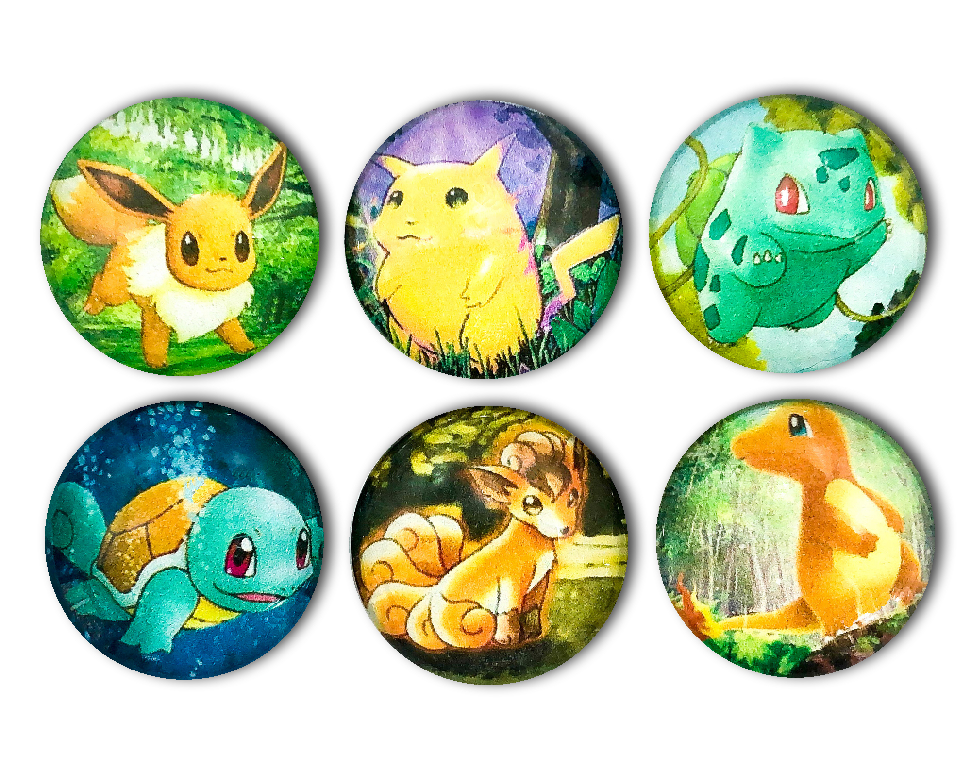 Pokémon Magnet Set