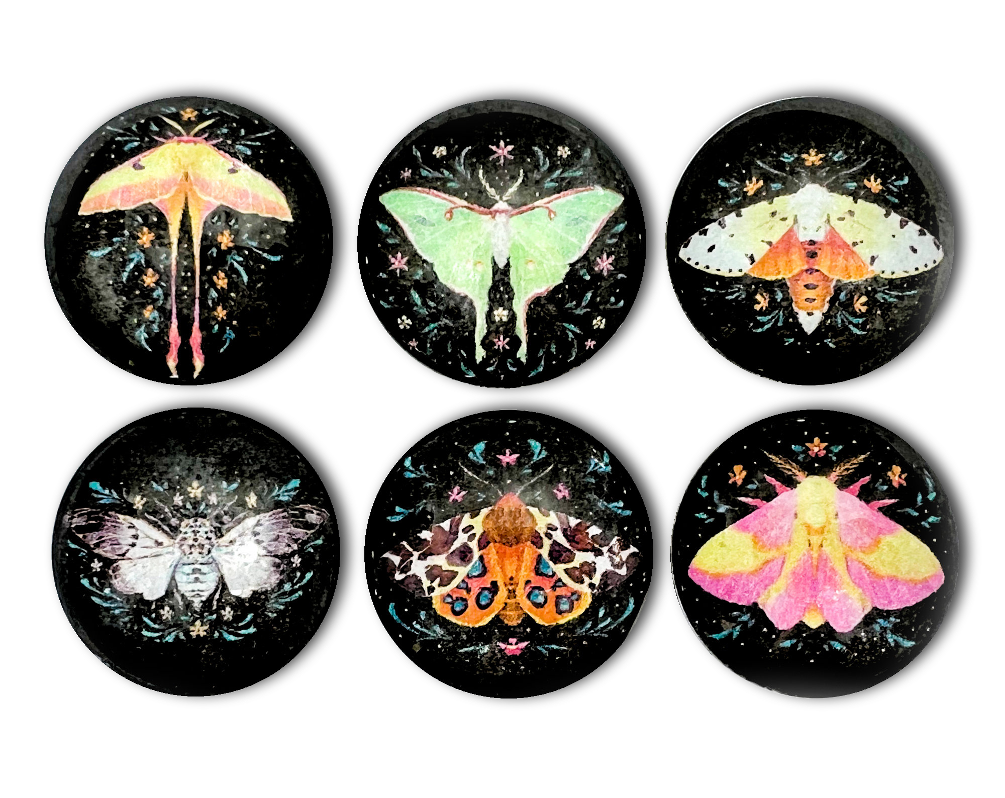Moth Magnet Set