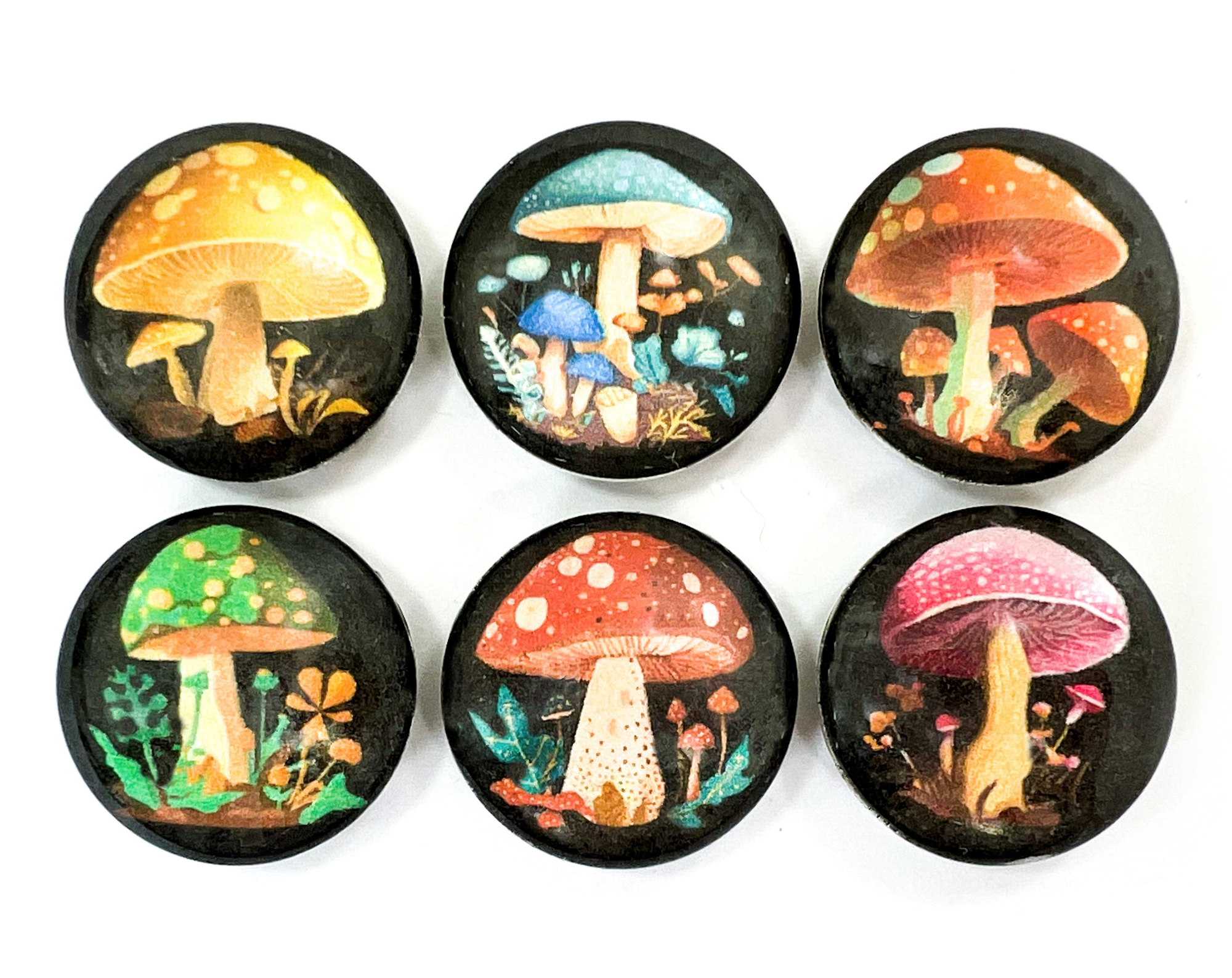 Mushroom Magnet Set