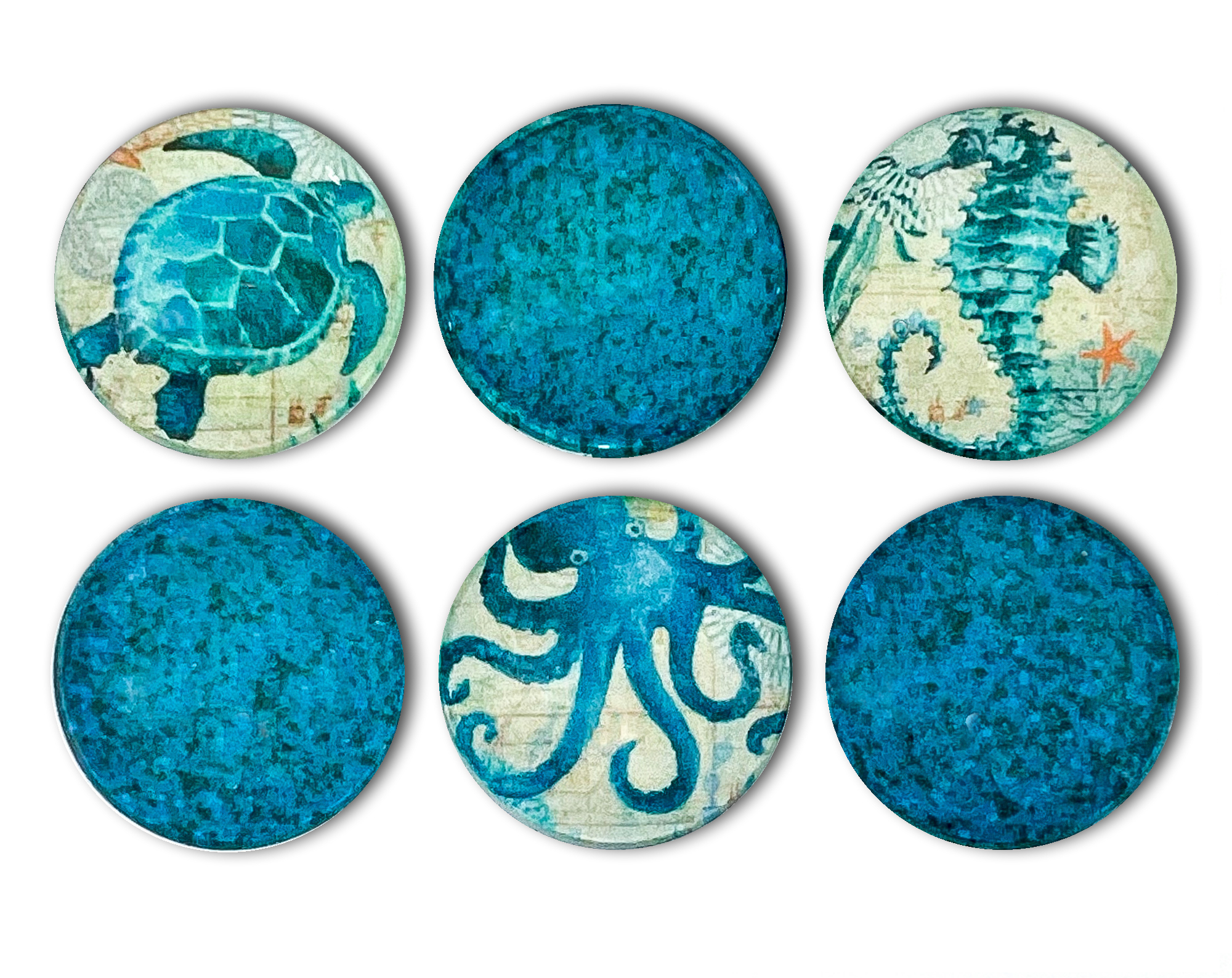 Ocean Life Magnets